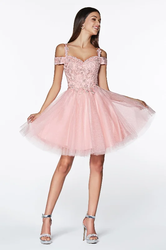 Enchanting Lace and Tulle: Cinderella Divine CD0132 for Unforgettable Occasions Stylish Tulle Dress